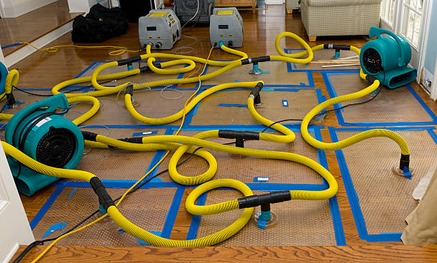 Professional Crawl Space Water Removal technician working in Newton, WI